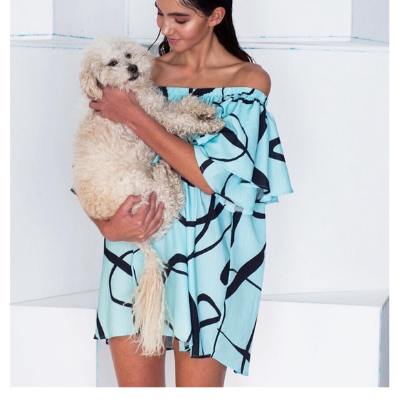 Dresses & Skirts - Casper+Pearl / Off shoulder dress